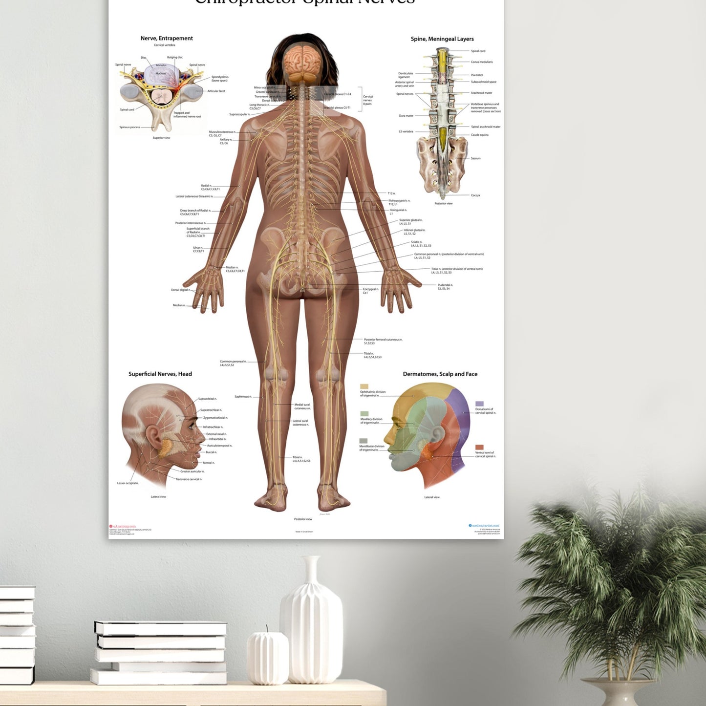 523b58e3-e7d4-4f5c-9924-f6479febf93d