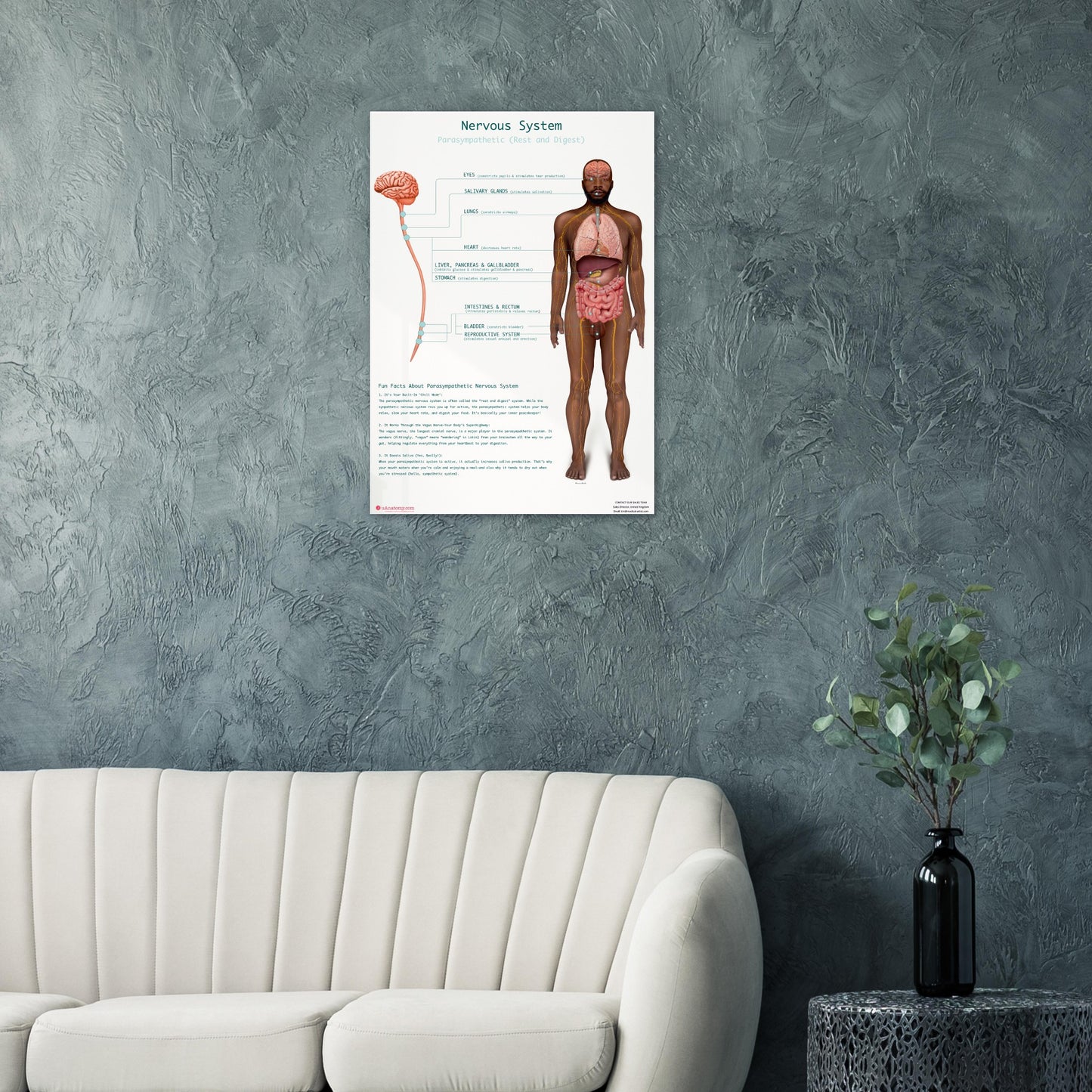 e9da2627-cdb7-4810-806b-87221e63e7e4