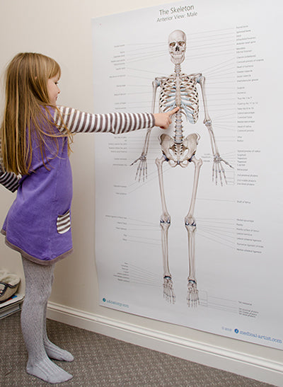 Using Posters As a Learning & Education Tool