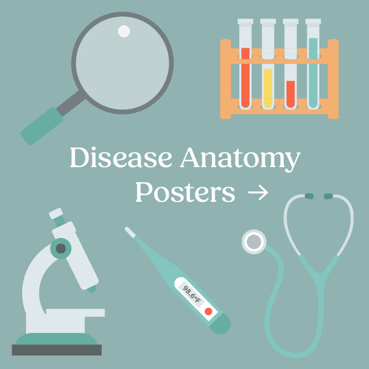 Disease Anatomy Posters