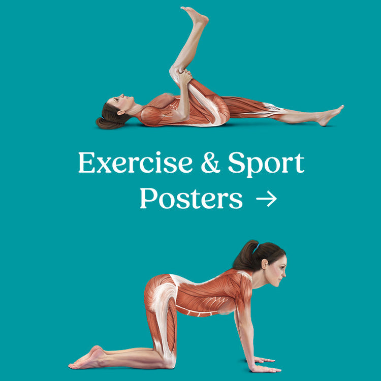 Exercise & Sport Posters