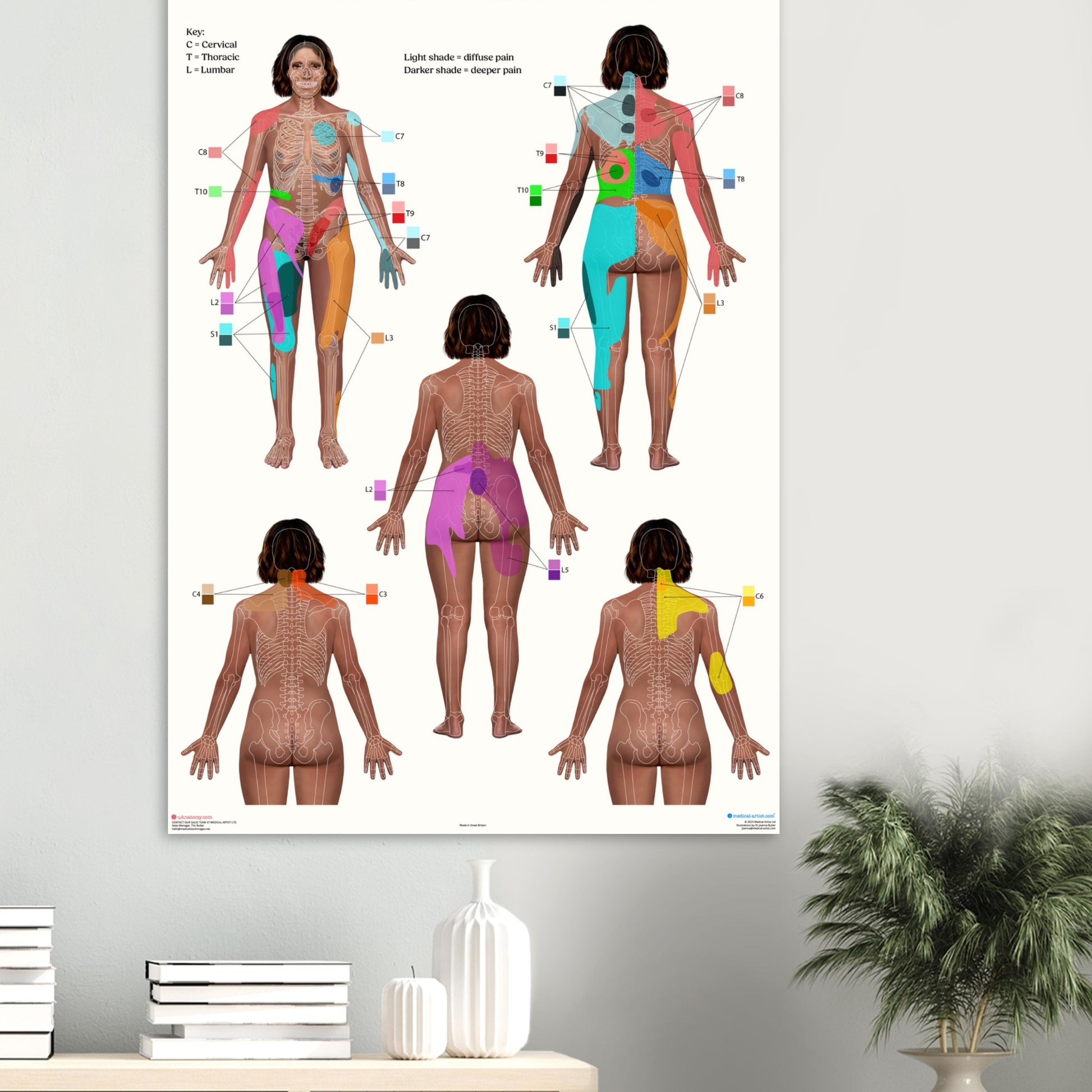 02d54e48-f9bb-409f-bd53-7d2f4017f78b