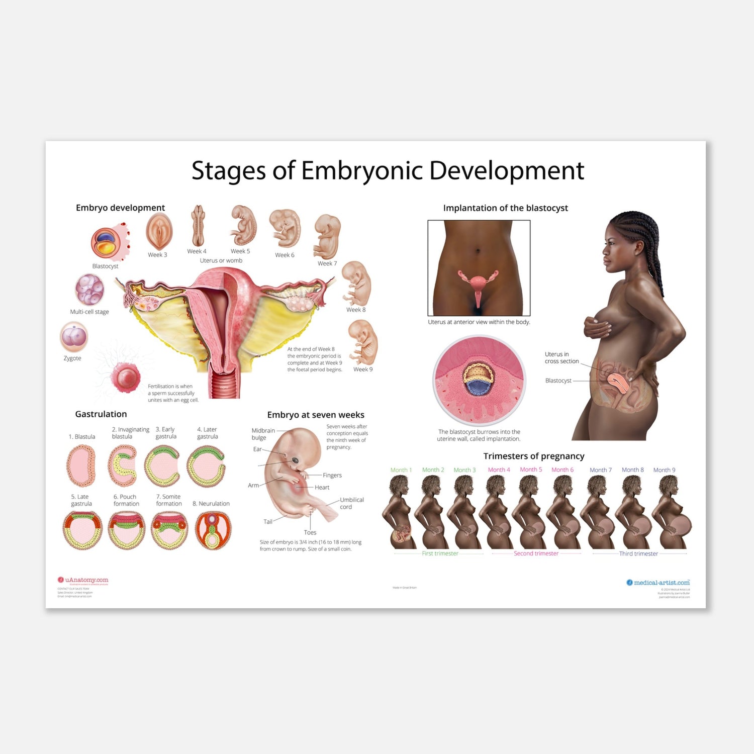 1b948e82-1ea7-4039-a8da-1bee4e65ebc1