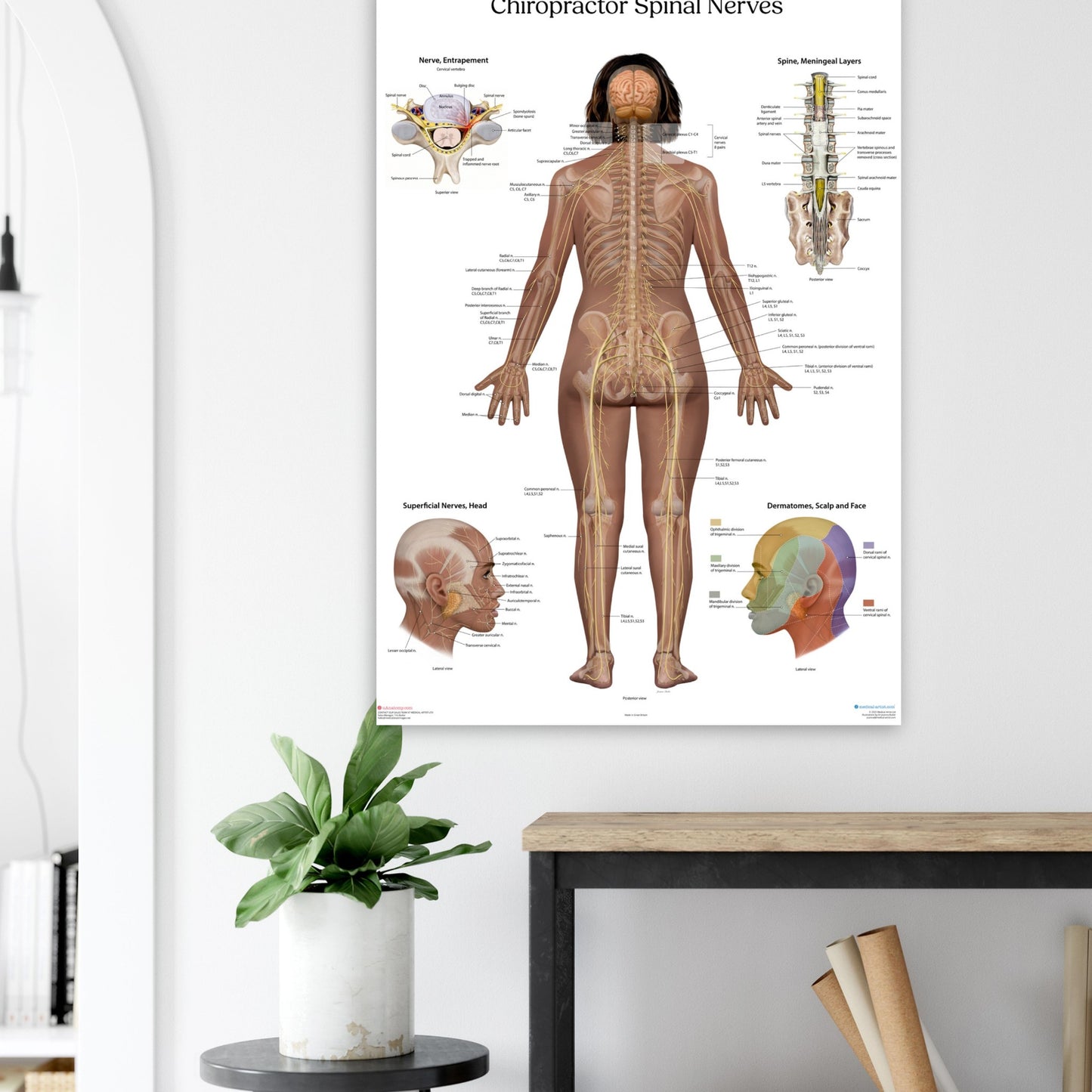 3e9aae15-0142-4fb3-ba64-40d954bea797