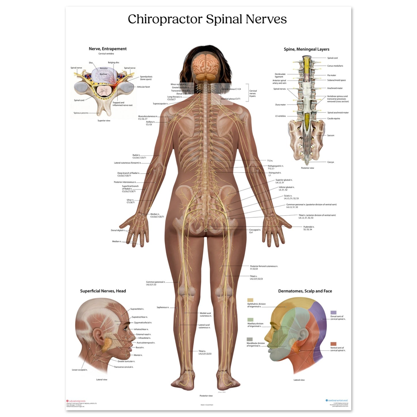 58604674-1bda-41a8-8d2f-5b89785393b6