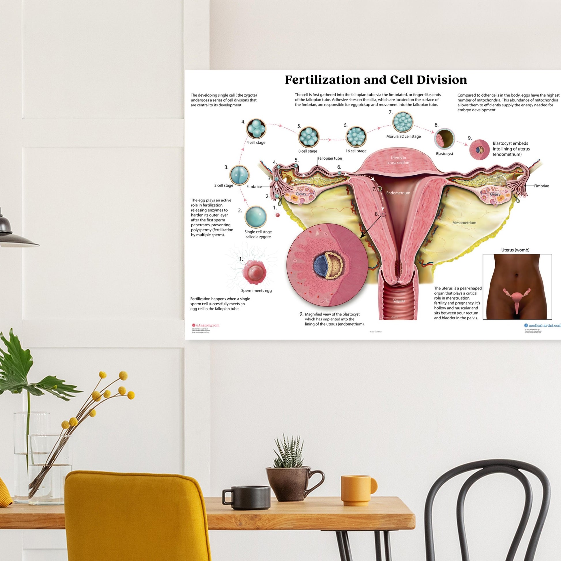 66cb717e-241f-4e38-9061-d9c7e0ac9e5c