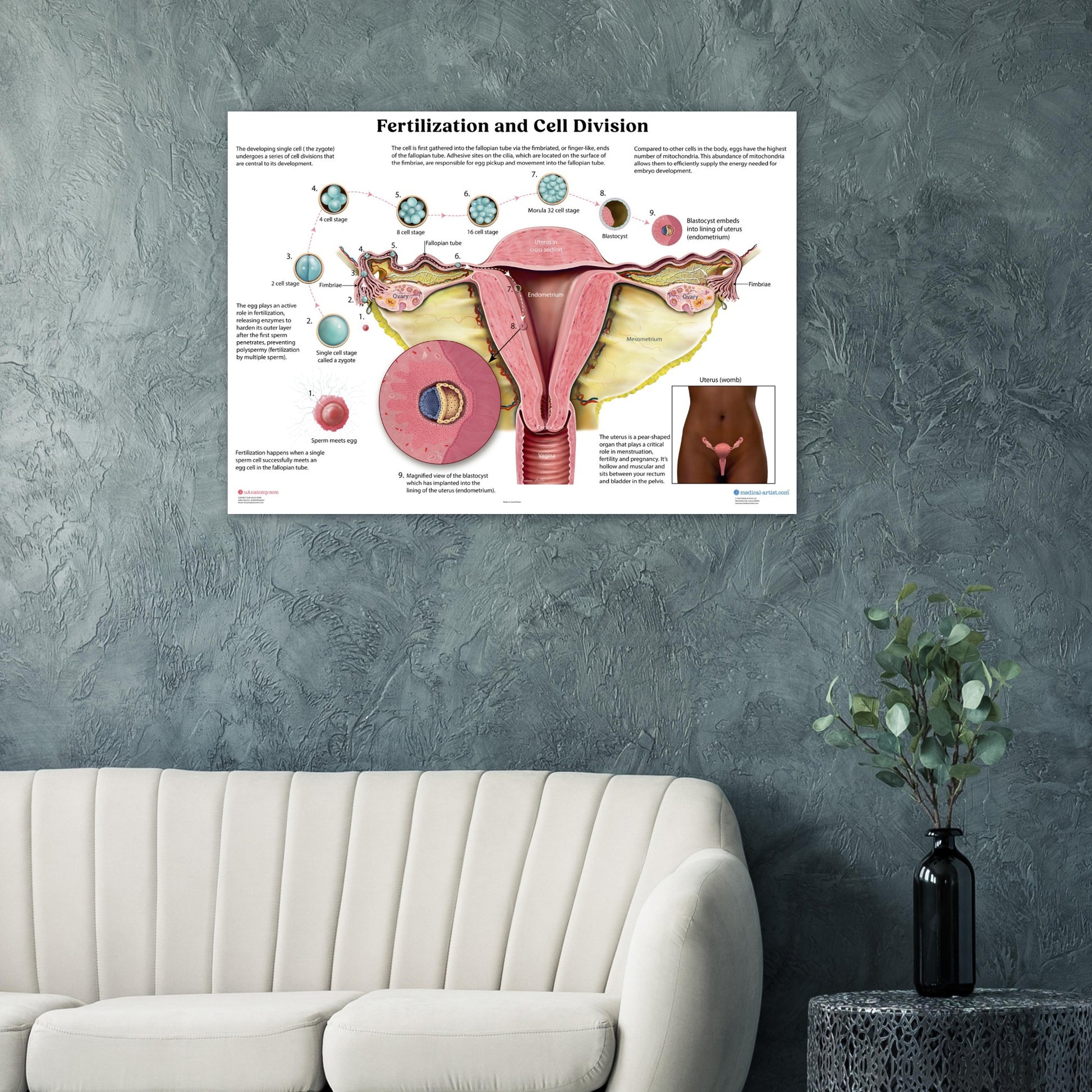 73871e07-9036-48b0-8234-fea704e9453c