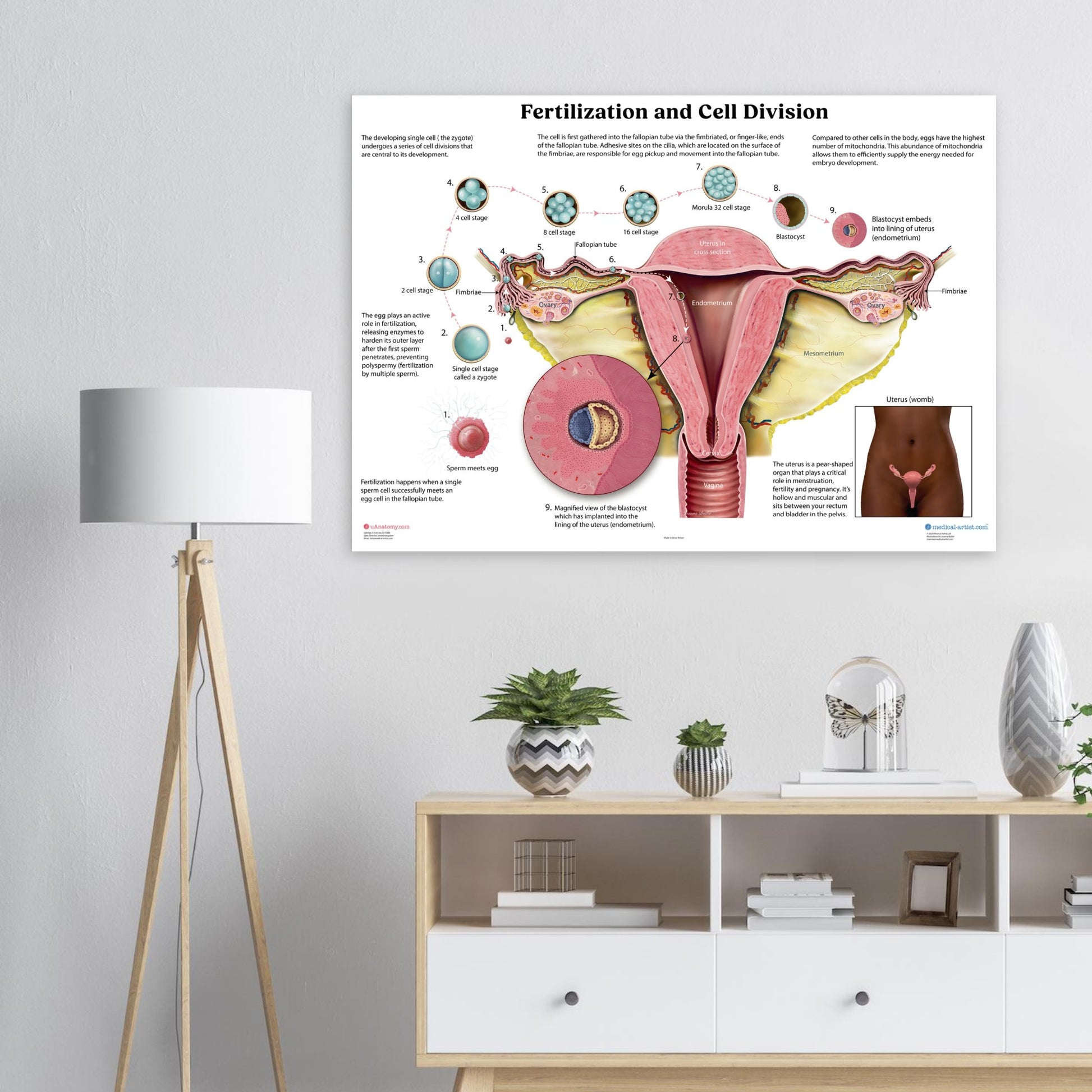 80feb1a0-b2a1-468b-8f16-811fc487f092