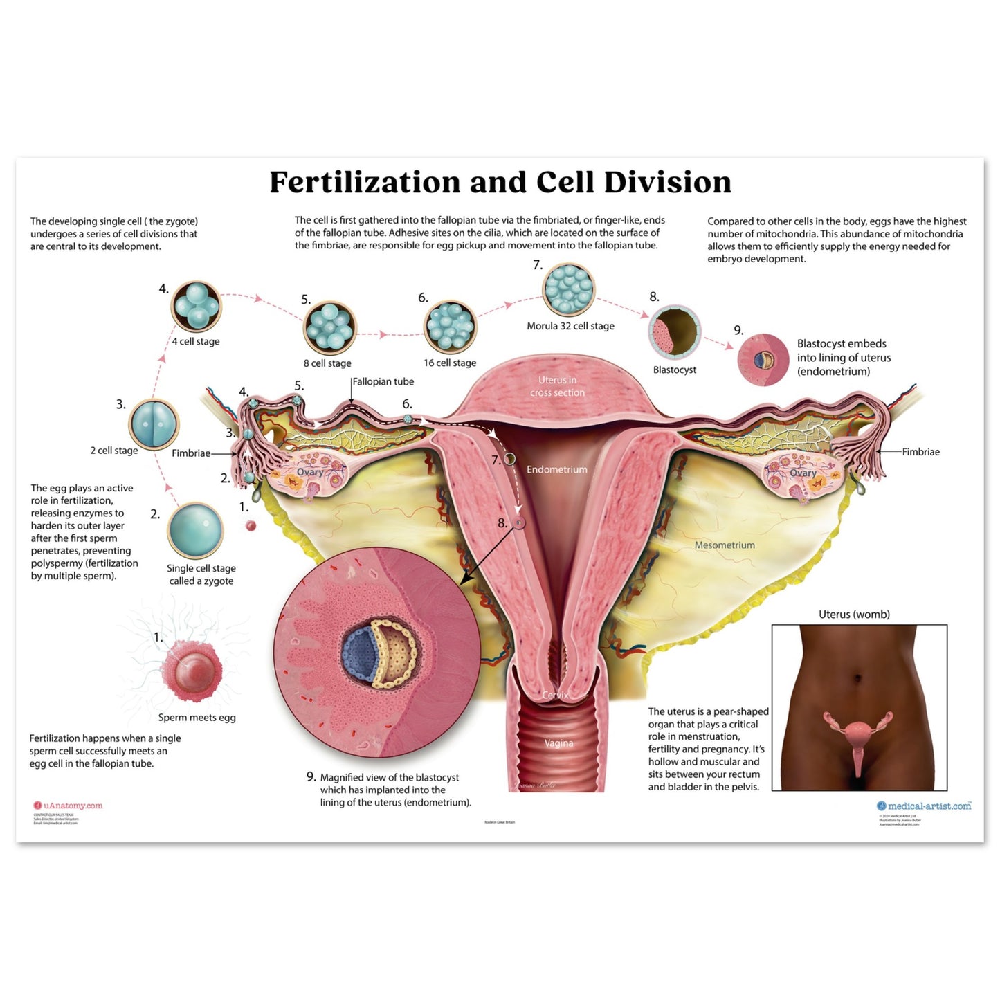 8437206e-cdfe-44aa-8d9d-f2ad68220ffe