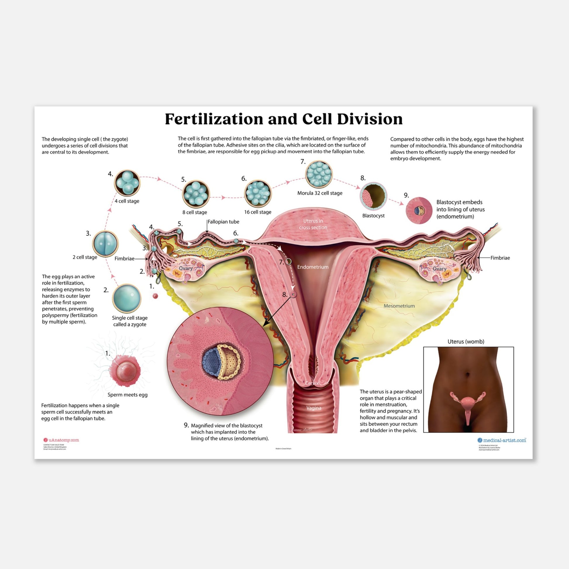 cb470c7f-f547-4305-a217-04544e090d8d