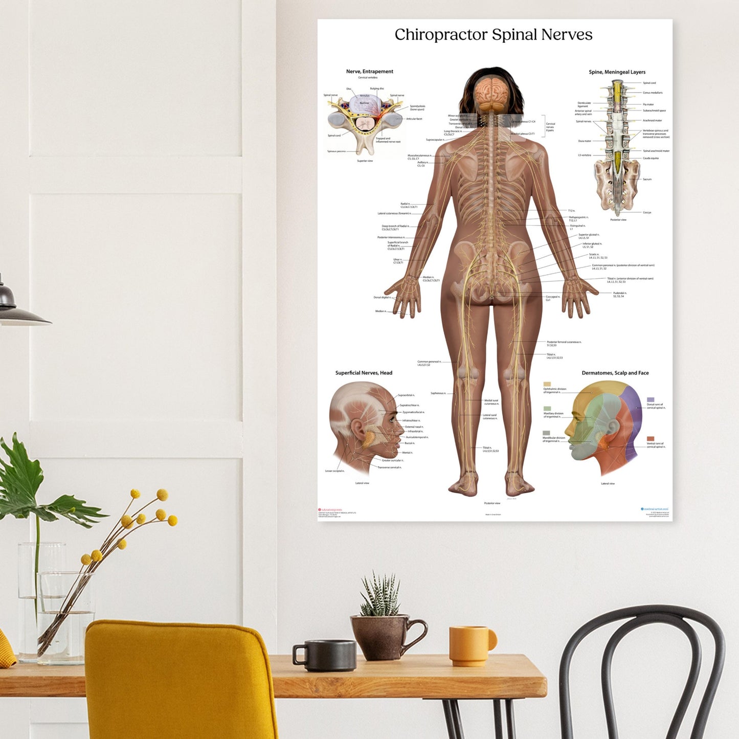 d88537d2-5a40-4d4e-9c56-3019c5467c05