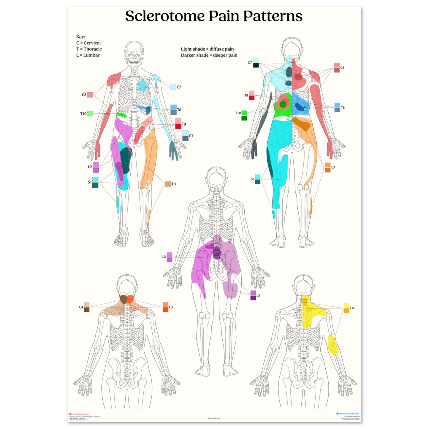 d9e0982d-1e90-4b0c-83b2-d48b3962bd95