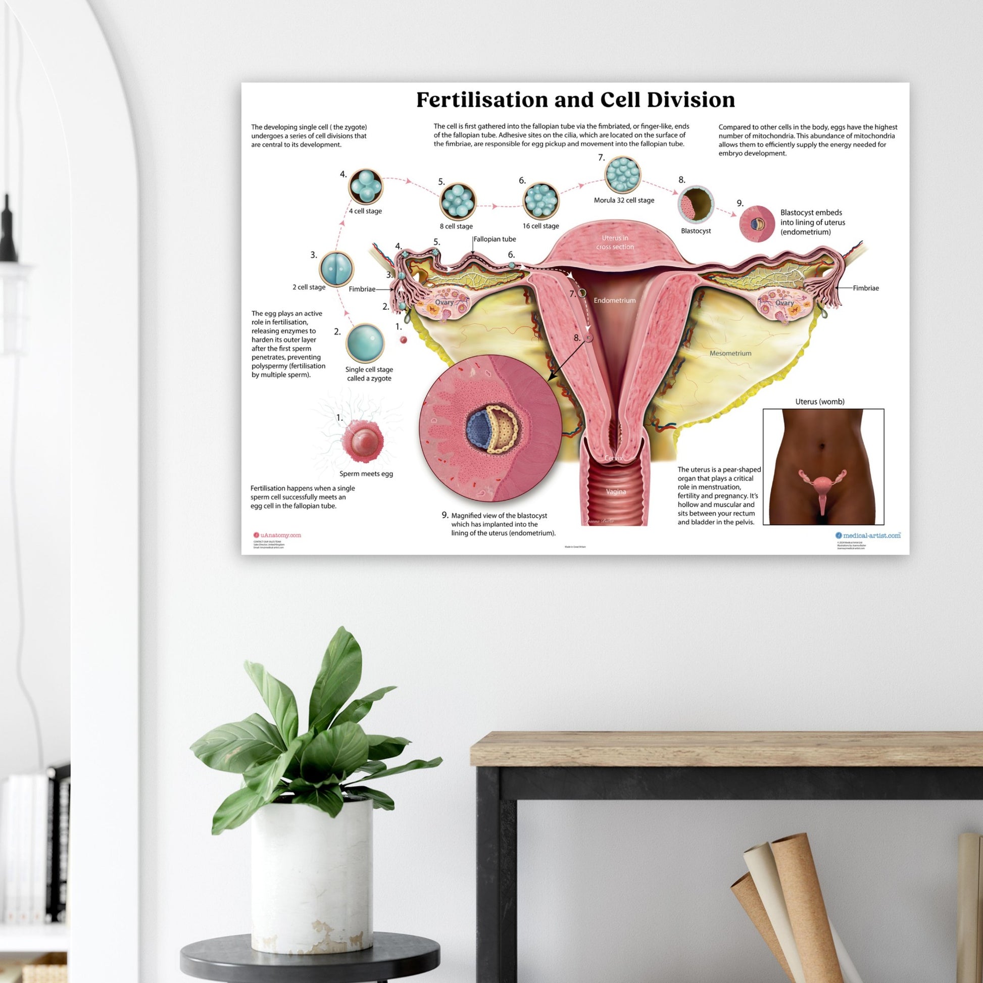 da46d420-7e15-4897-b04e-e813daa9b179