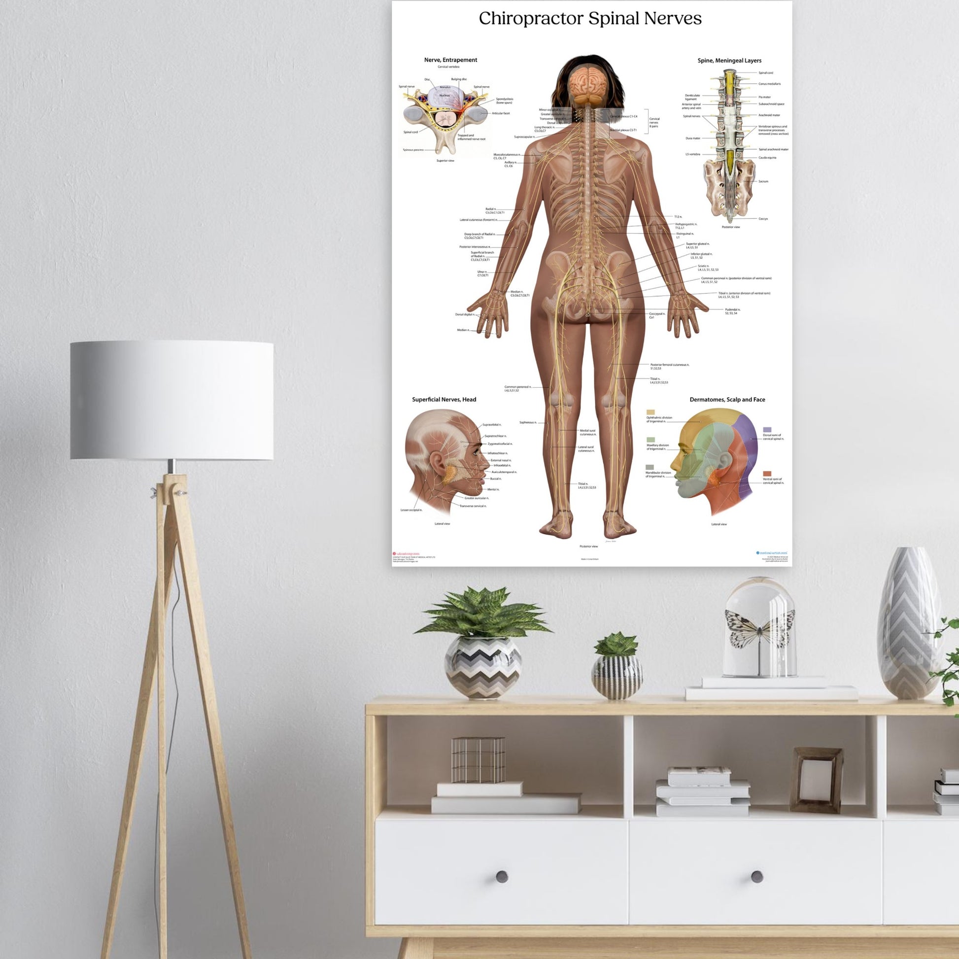 ec2c8541-7312-4572-b205-64fa894da0ef