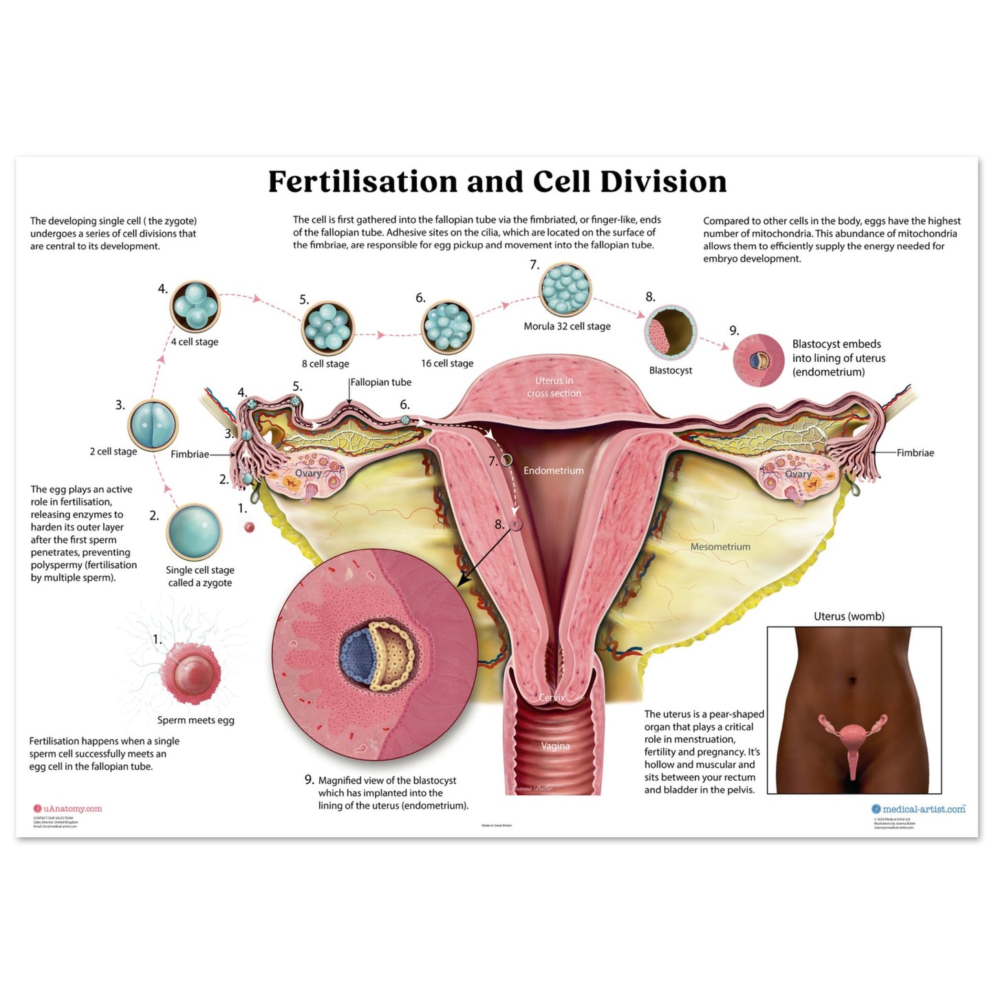 f70a954d-f167-42a2-af49-8431412a34bd