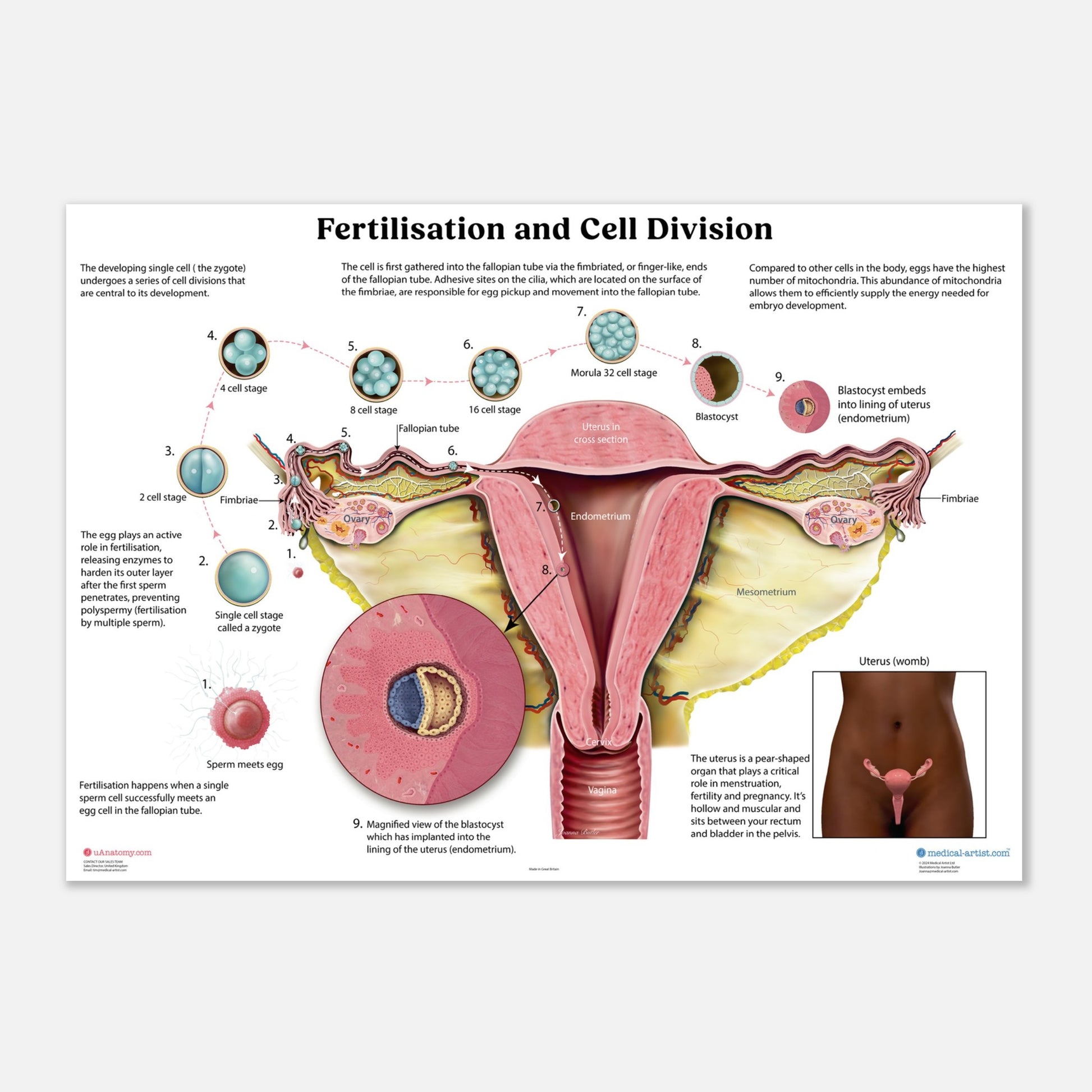 fd642608-cc31-405e-b7bd-c76ad5a583ff